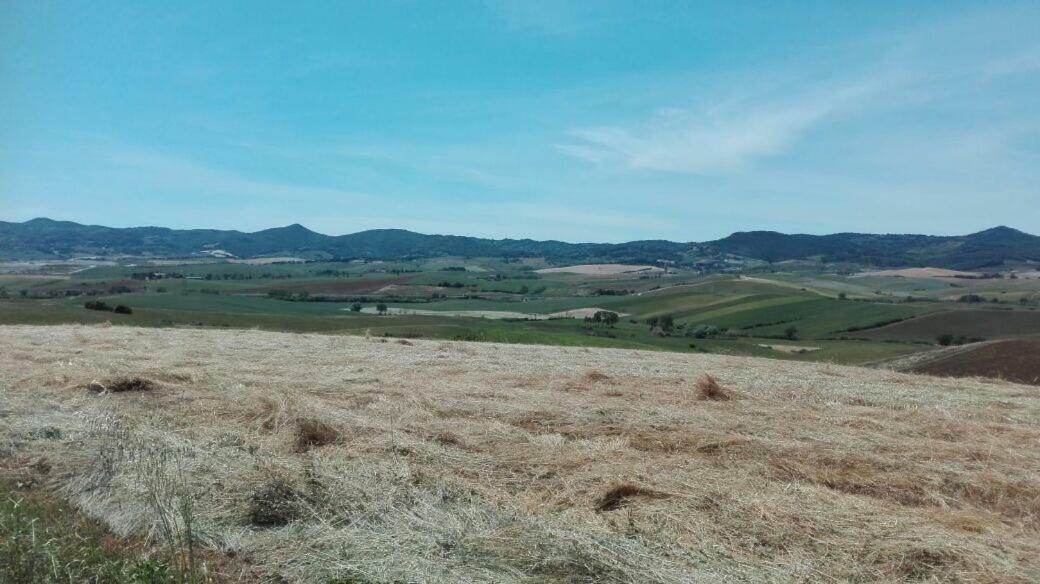 La Casina Διαμέρισμα Rosignano Marittimo Εξωτερικό φωτογραφία